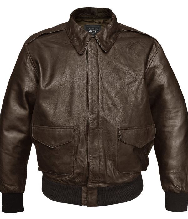 Us A2 Flight jacket