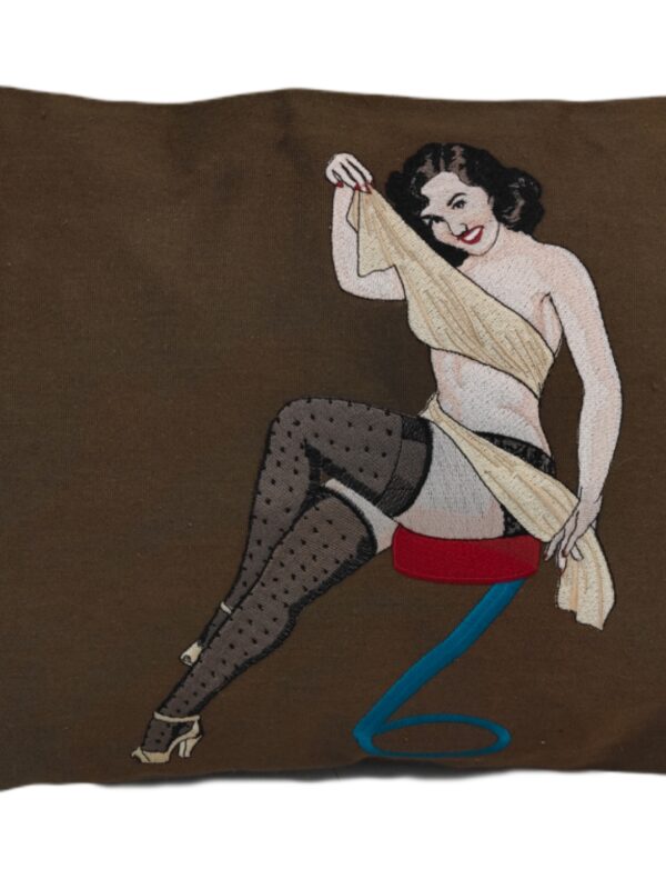 Pillow Pin-Up (2)